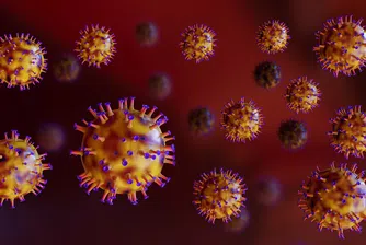 Обикновената настинка може да изхвърли коронавируса от тялото ни
