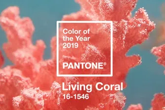 Жив корал - цветът на 2019 г.