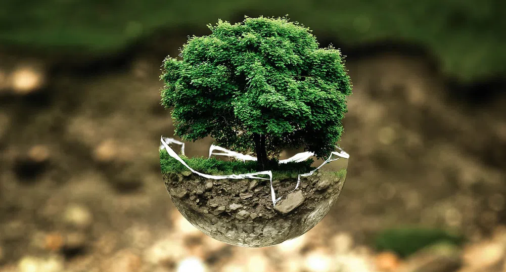 Отбелязваме Световния ден на околната среда