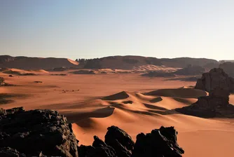 40 см сняг покриха дюните на пустинята Сахара (снимки)