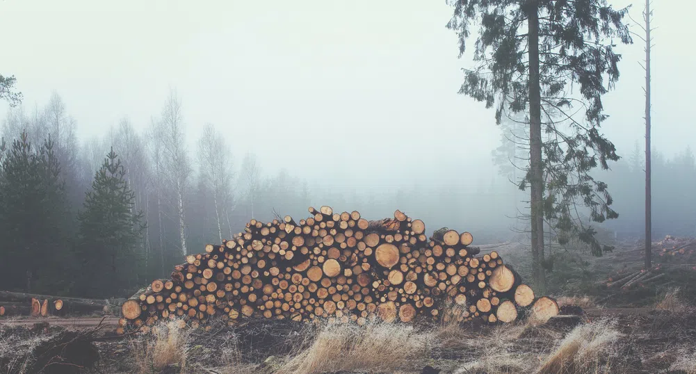 Дърводобив по финландски: 100% ефективност и нулеви загуби