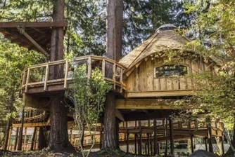 Microsoft създаде за служителите си... къщи на дърво