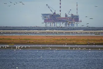Петролът поевтинява, доларът поскъпва в края на седмицата