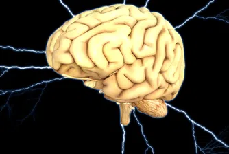 Музеят, в който ще сложат в ръката ви истински мозък