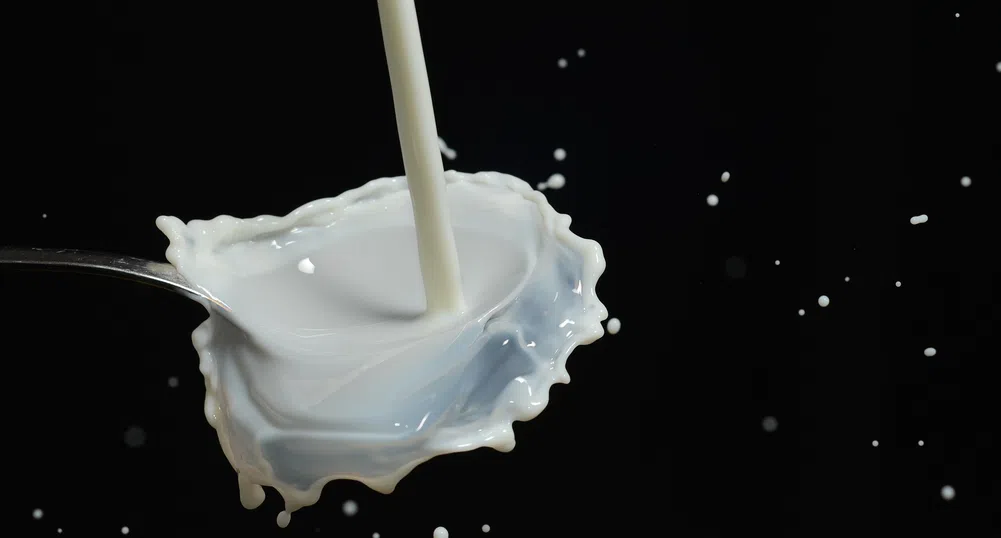 Американски фермери изхвърлят мляко заради пандемията