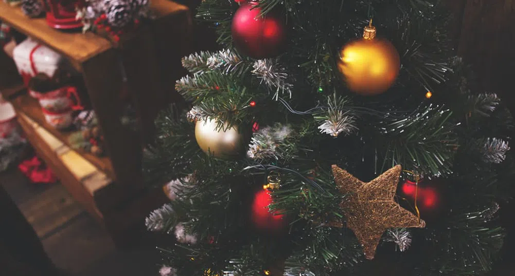 Коледните елхи поскъпват сериозно в САЩ за празниците