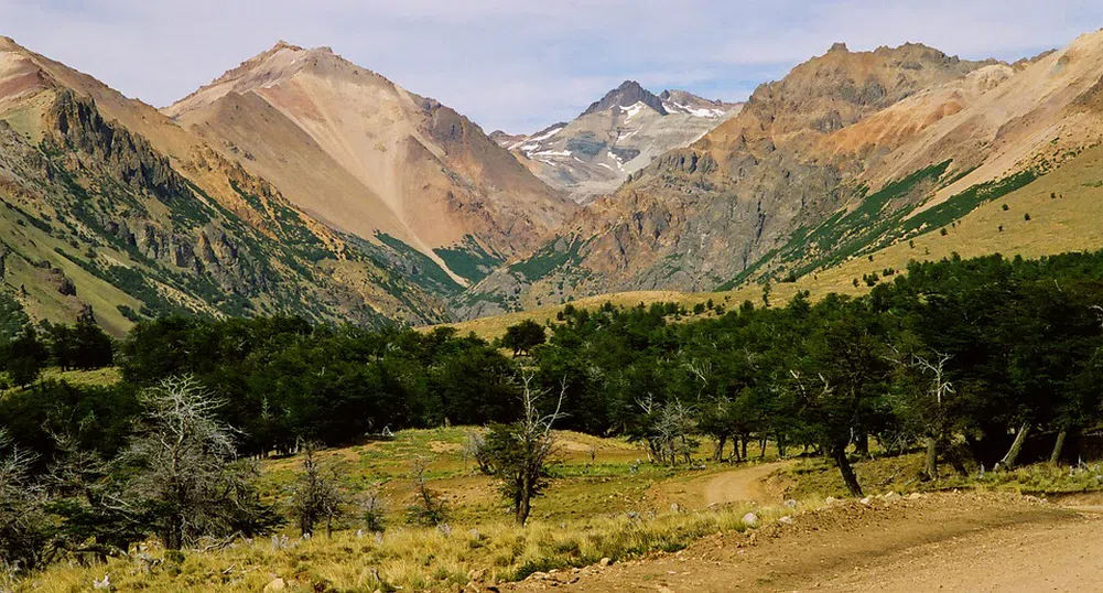 Чили получи над 400 000 хектара земя от американски милиардер