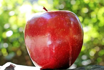 Глобиха пътничка с 500 долара за недекларирана ябълка