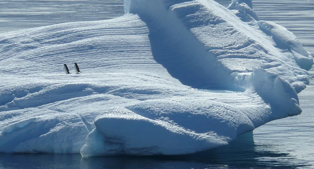 1600 км за 54 дни: за пръв път човек прекоси Антарктида без помощ