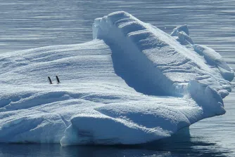 1600 км за 54 дни: за пръв път човек прекоси Антарктида без помощ