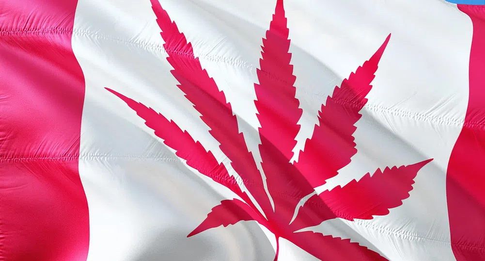 1 на 6 канадци употребявал марихуана след легализацията