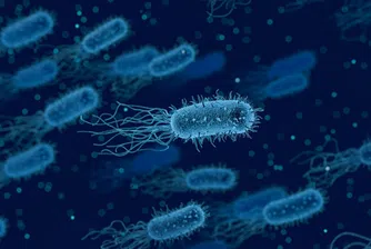 Бактерии правят "стриптийз", за да се защитават от антибиотици