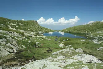 Най-големият резерват на Балканите се намира у нас