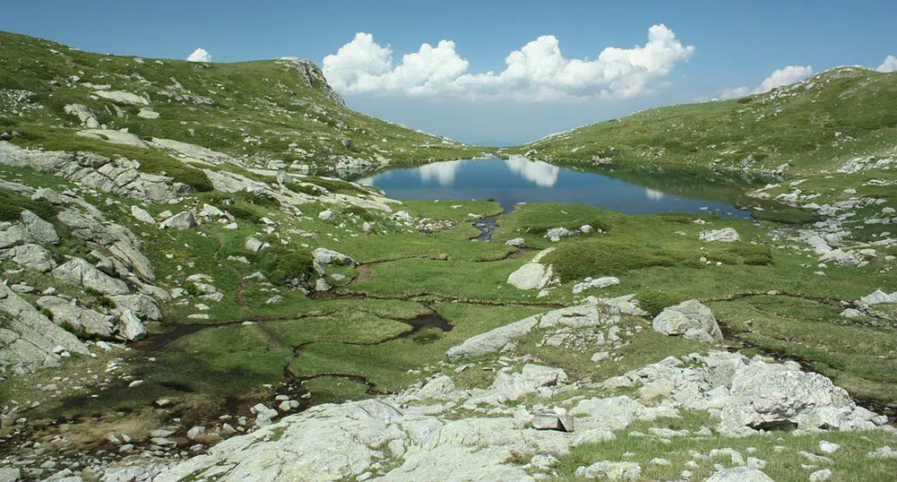 Най-големият резерват на Балканите се намира у нас