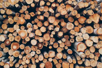 Администрацията обединява сили, за да осигури дърва за огрев