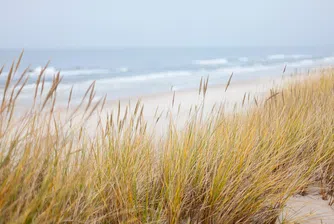 Това е първият плаж в света с резервационна система
