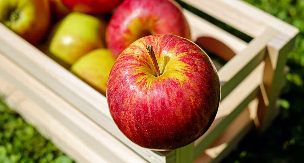10 любопитни факта за ябълките