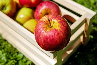 10 любопитни факта за ябълките