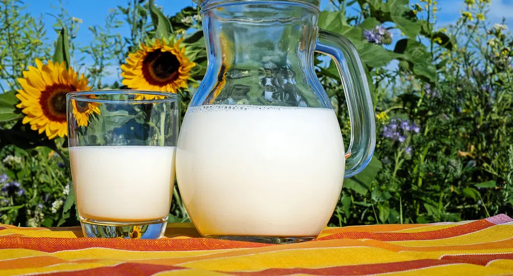 Над 90% от млечните продукти на пазара са български