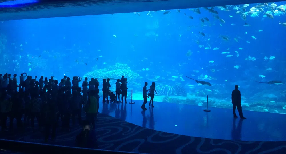 10-те най-големи аквариума в света