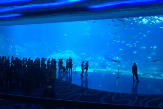 10-те най-големи аквариума в света