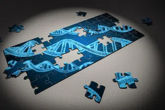 Учените откриха неподозирани възможности на човешката ДНК
