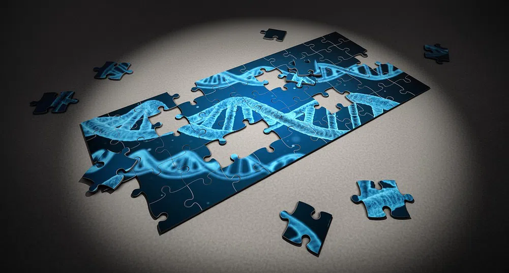 Учените откриха неподозирани възможности на човешката ДНК
