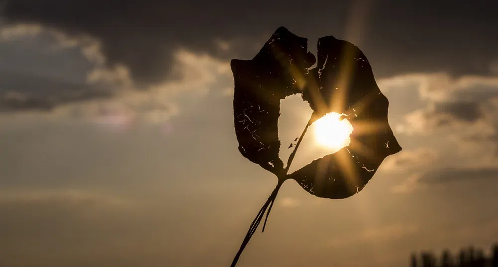 Ще продължи ли лятото и през ноември? Вижте прогнозата за месеца