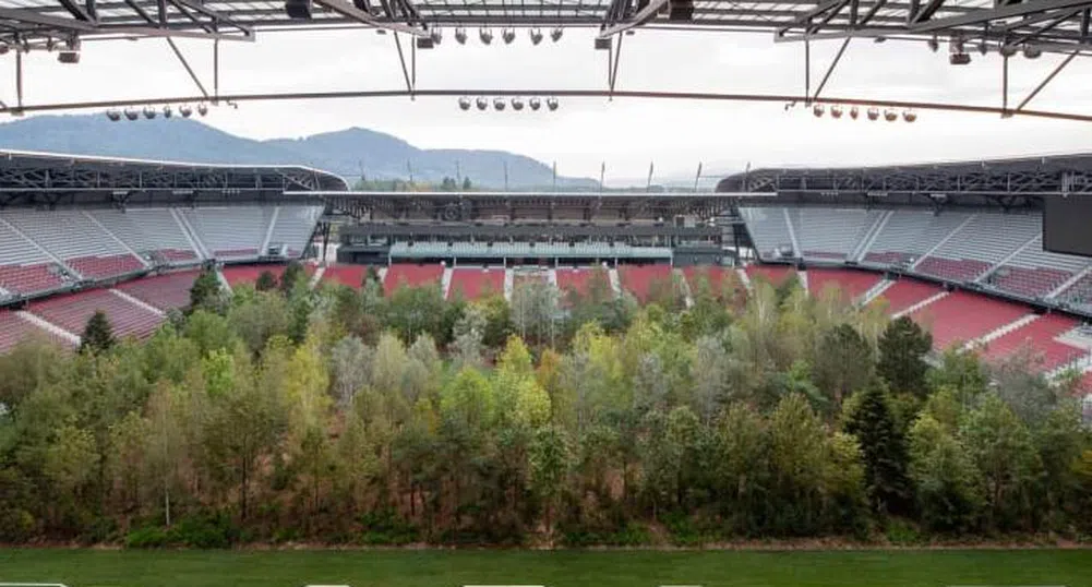 Защо на този стадион има гора?