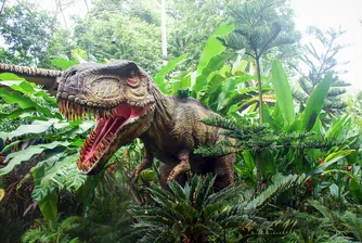Най-големият динозавърски отпечатък откриха в Австралия