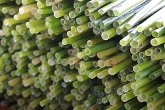 Една зелена алтернатива на пластмасовите сламки
