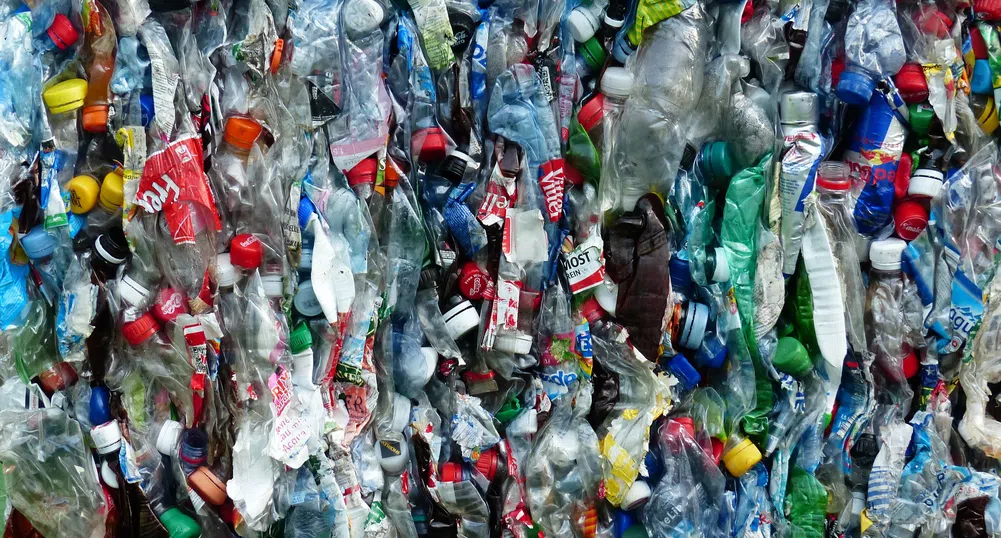 Пластмасов кръговрат: От кофата за боклук до Световния океан
