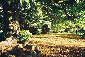 Септември е бил най-топлият в метеорологичната история на Европа и света