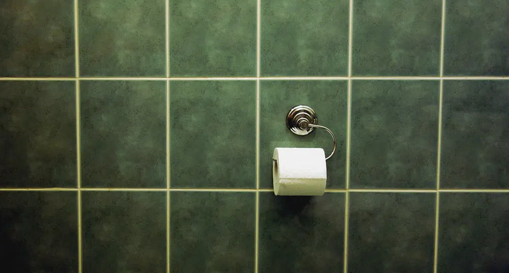 Близо 1/3 от румънците нямат тоалетна в дома си