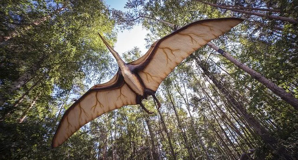 Откриха огромен летящ динозавър до Трън