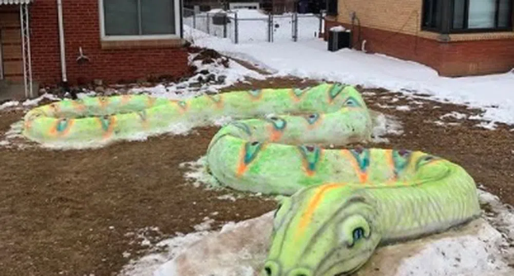 Семейство създаде 23-метрова снежна змия