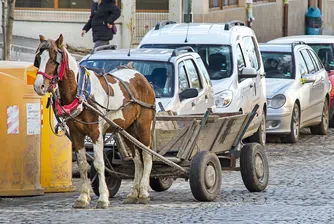 Близо 23% от българите остават под линията на бедност през 2022 г.