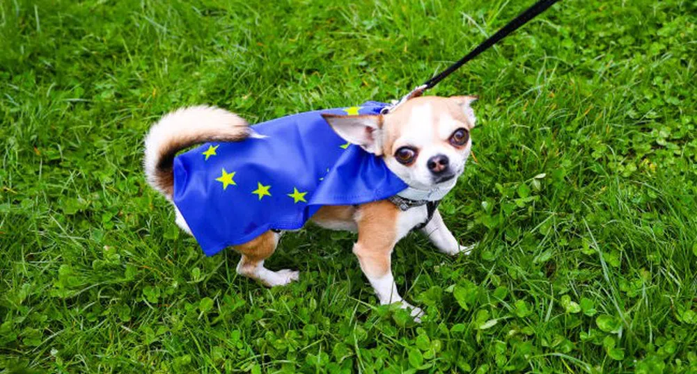 Чуй кой лае в ЕК: Ще могат ли комисарите да ходят на работа с кучетата си?