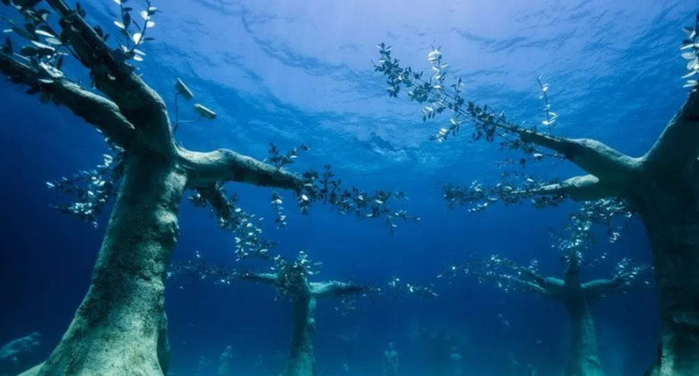 Подводна гора привлича посетители край бреговете на Кипър (снимки)