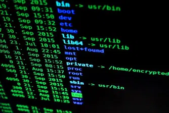 Установено е лицето, извършило хакерската атака срещу български сайтове