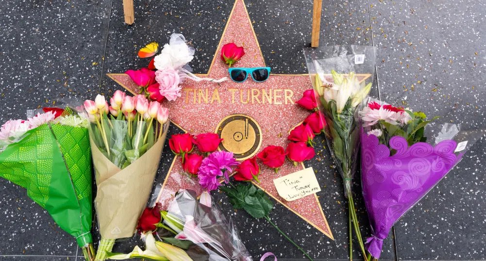 Светът отдава почит към Кралицата на рокендрола Тина Търнър