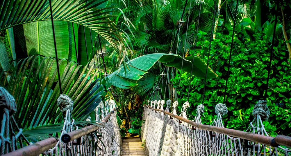 Най-луксозните хотели, разположени в джунгла
