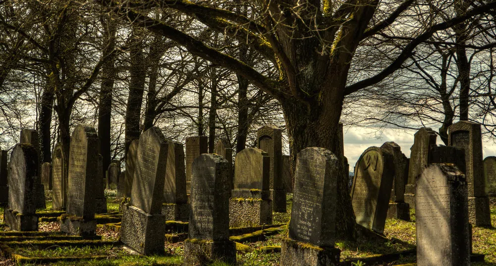 Приложение помага на опечалените да се ориентират в гробищата