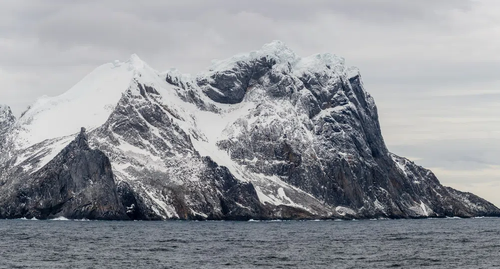 Видове от цял свят, пътуващи на стоп с кораби, заплашват Антарктика