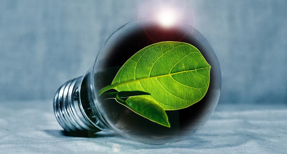 Зелени милиардери: 12 водещи инвеститори в екологичния сектор