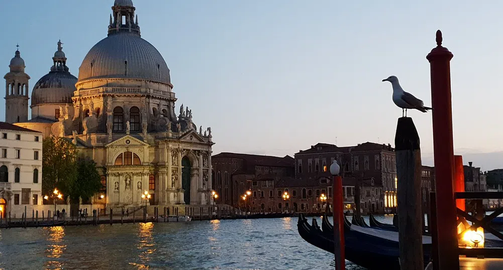 Раздават на туристите във Венеция водни пистолети, за да се бранят от чайки