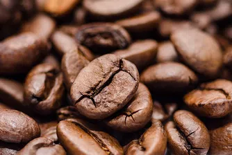 60% от дивите сортове кафе застрашени от изчезване