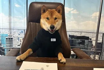 Мъск обяви кучето си за главен изпълнителен директор на Twitter