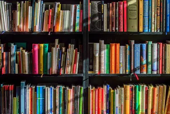 Новата книга с рекорди на Гинес за 2019 г. вече е на пазара