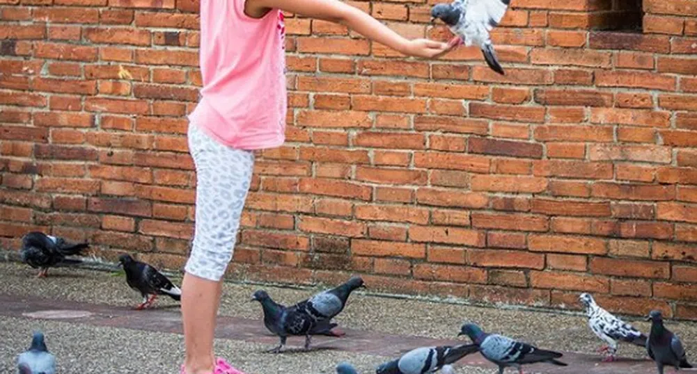 Туристи плащат пари на непознати, за да гонят гълъби